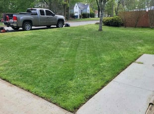 Donald H.'s Lawn Care service result