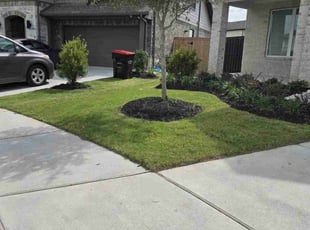 Freddie J.'s Lawn Mowing service result