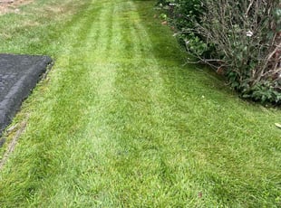 Sonja M.'s Lawn Service service result