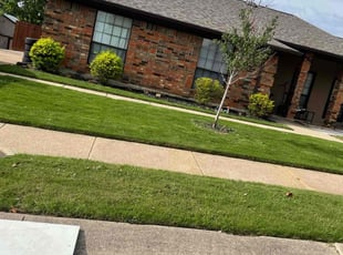 Amanda G.'s Grass Cutting service result