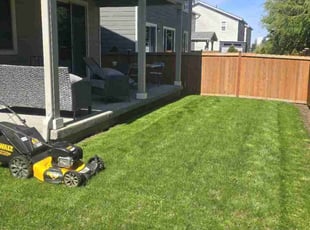 Mike S.'s Lawn Mowing Service service result