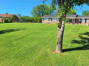 Jay G.'s Lawn Maintenance service result