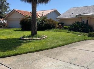 Collins M.'s Yard Cutting service result