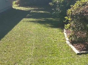 Bill R.'s Lawn Mowing service result