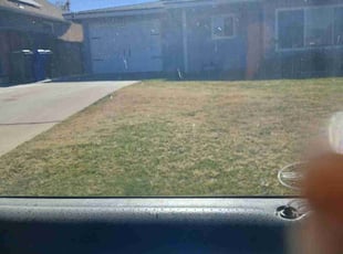 James W.'s Yard Cutting service result