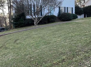 Tamera D.'s Lawn Service service result