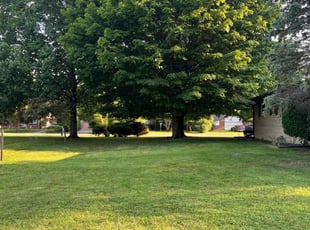 David B.'s Lawn Care service result
