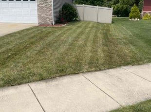 Utona R.'s Lawn Mowing service result