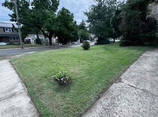 Heidi E.'s Lawn Mowing service result