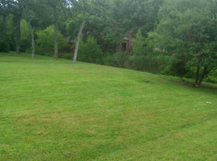 Wallon K.'s Lawn Mowing Service service result
