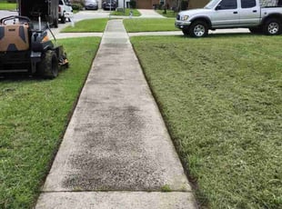 Janet Y.'s Lawn Care service result