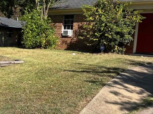 Robby L.'s Lawn Mowing service result