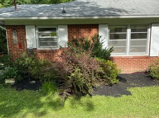 Weeding by Janis Belcher-Moore for Alexander W. in Durham, NC