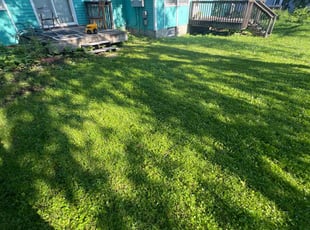 Antoinette M.'s Grass Cutting service result
