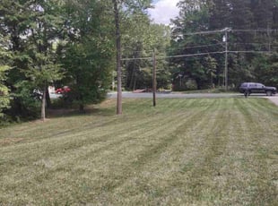 Edward S.'s Lawn Service service result