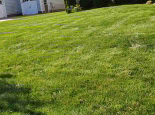 John B.'s Lawn Maintenance service result