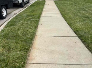 Ron R.'s Lawn Care service result