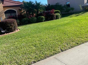 David R.'s Lawn Mowing service result