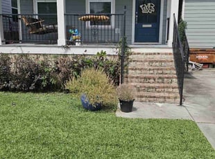 Bush Trimming by Andrew Honeycutt for Kyle C. in New Orleans, LA