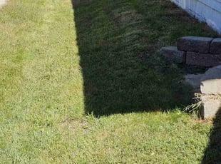Paul S.'s Lawn Service service result