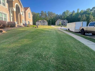 Chris O.'s Lawn Mowing service result