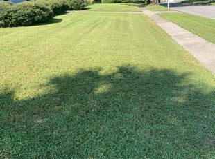 Clyde H.'s Lawn Service service result