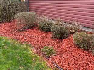 Mulching by James Serio for Patrick W. in Rochester, NY