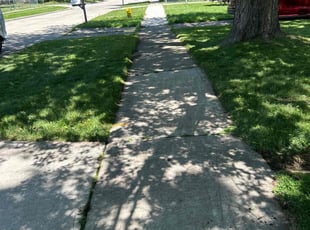 Douglas M.'s Lawn Service service result