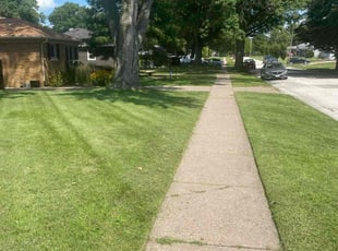 Ralph B.'s Grass Cutting service result