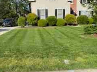 Benjamin M.'s Grass Cutting service result