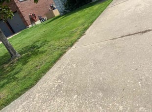 Imani H.'s Lawn Maintenance service result
