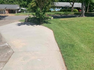 Vincent G.'s Yard Cutting service result