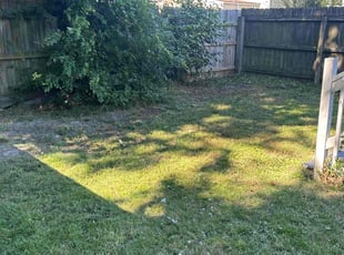 Cleanups by James Mozelle for Tamia S. in Norfolk, VA
