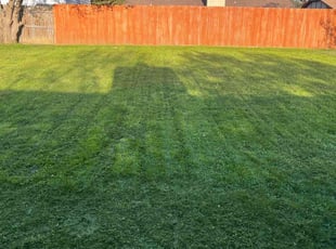 Colleen P.'s Lawn Care service result