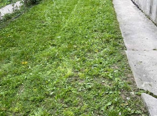 Cleanups by Samuel Taylor for Davon J. in Baltimore, MD