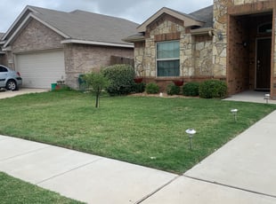 Bush Trimming by Danny Cavazos for Novelle M. in Fort Worth, TX