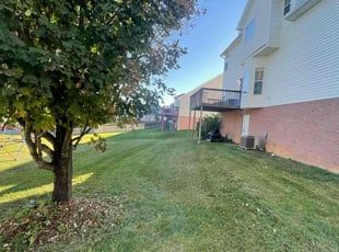 Michael M.'s Lawn Care service result