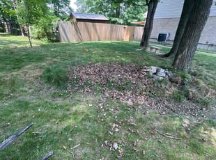 Cleanups by Kyle Gluhm for Michael O. in Cincinnati, OH
