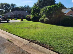 Mo R.'s Lawn Service service result