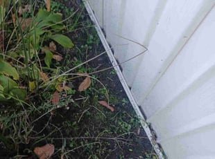 Weeding by Bryan Crowder for Paul F. in Newark, DE