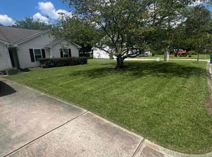 Dee B.'s Yard Cutting service result