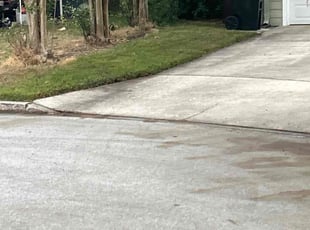 Leaf Removal by Withman Herrera for Frank T. in Orlando, FL