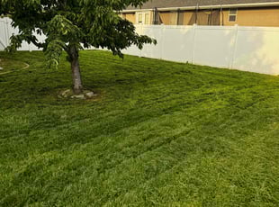 Nelia M.'s Lawn Care service result