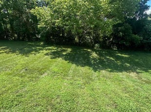 Ed D.'s Lawn Care service result