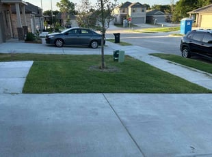 Laurie F.'s Grass Cutting service result