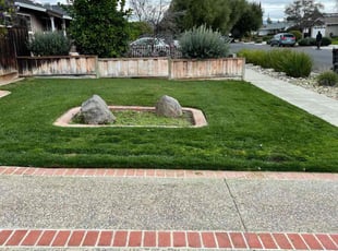 Melissa D.'s Lawn Mowing service result