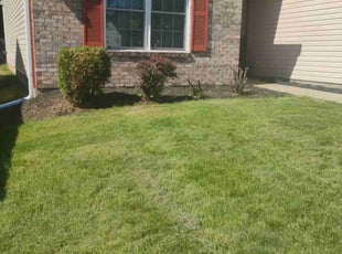 Bush Trimming by Valerie Pena for Elizabeth P. in Indianapolis, IN