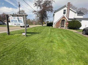 John A.'s Lawn Mowing service result