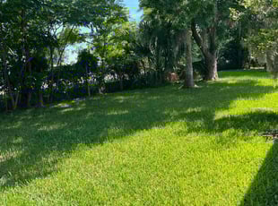 Nicole M.'s Lawn Service service result
