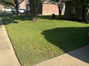 Israel R.'s Lawn Care service result